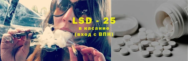 дживик Абаза