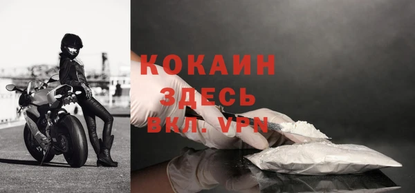 дживик Абаза