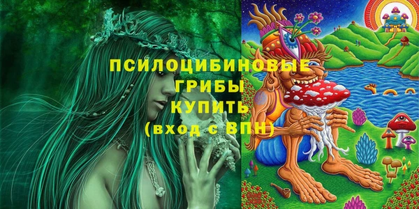 дживик Абаза