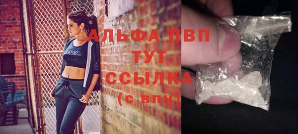 дживик Абаза