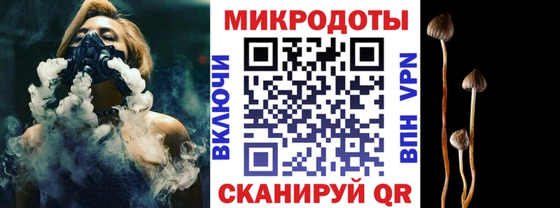 блэк спрут ССЫЛКА  Братск  Галлюциногенные грибы Psilocybine cubensis  дарнет шоп 