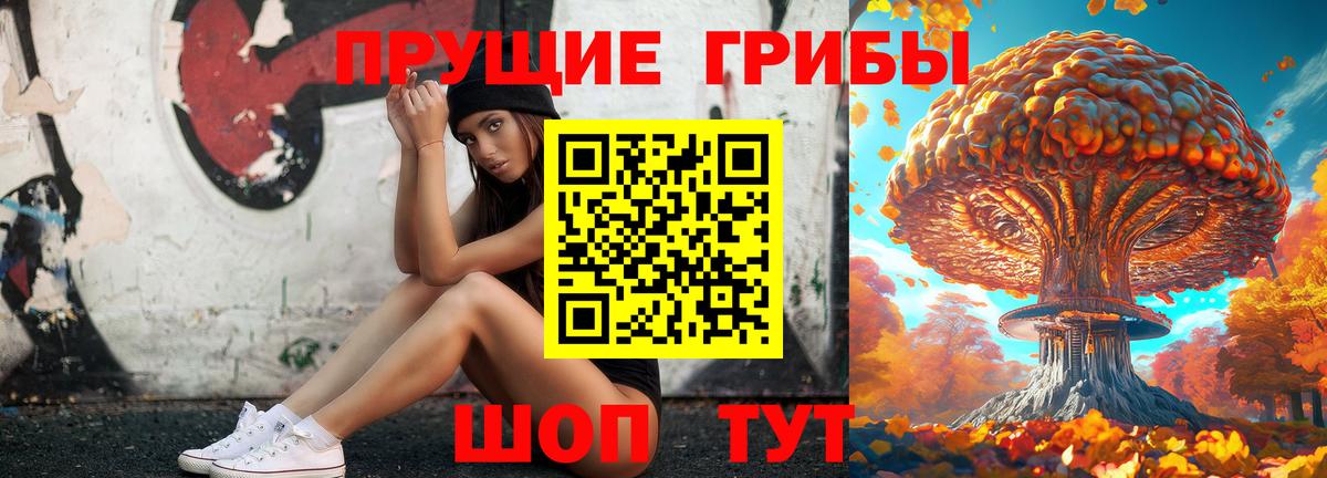 Псилоцибиновые грибы Cubensis Братск
