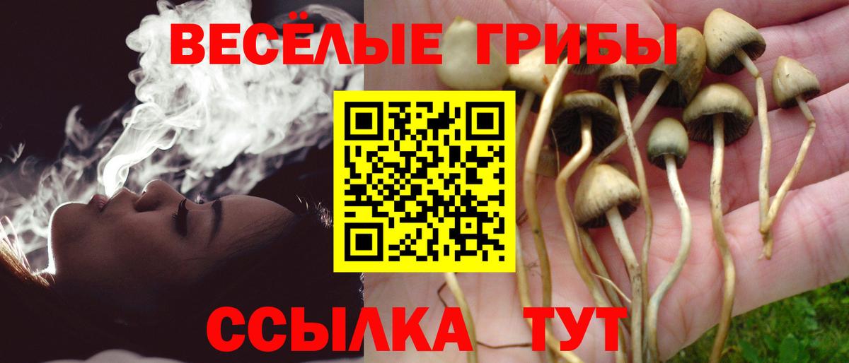 продажа наркотиков  Псилоцибиновые грибы MAGIC MUSHROOMS  Вход с VPN  Галлюциногенные грибы Magic Shrooms  Братск 